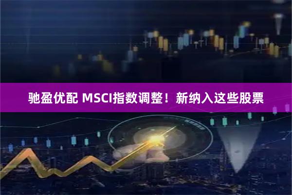 驰盈优配 MSCI指数调整！新纳入这些股票