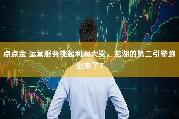 点点金 运营服务挑起利润大梁，龙湖的第二引擎跑出来了？